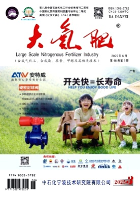 大氮肥杂志
